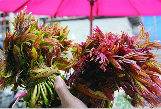 香椿怎么吃才安全？吃香椿的最佳時間是什么時候？