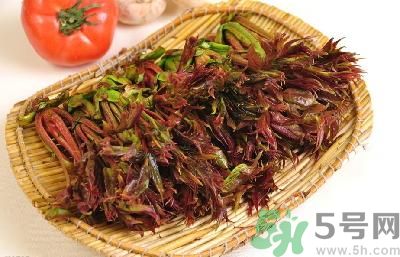 吃香椿有什么好處？香椿可以預(yù)防疾病嗎？