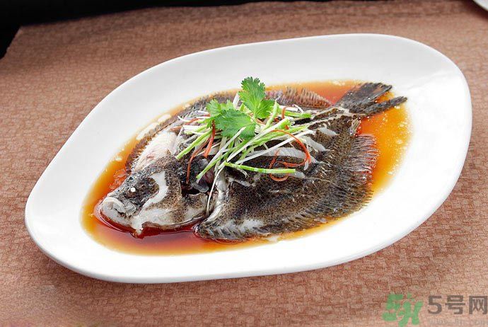 怎么挑選魚？挑魚的技巧有哪些？