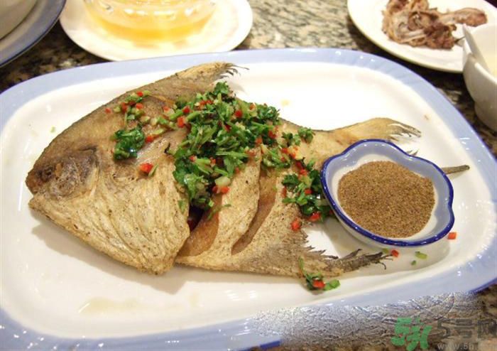 怎么挑選魚？挑魚的技巧有哪些？