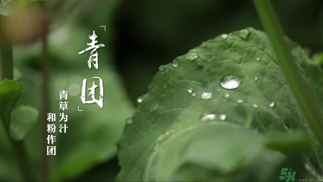什么人不能吃青團(tuán)？吃青團(tuán)要注意什么？