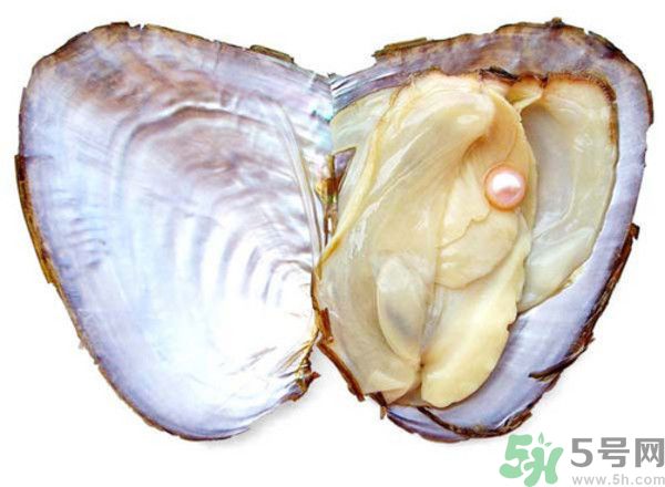 河蚌什么時候吃最好？吃河蚌有什么好處？