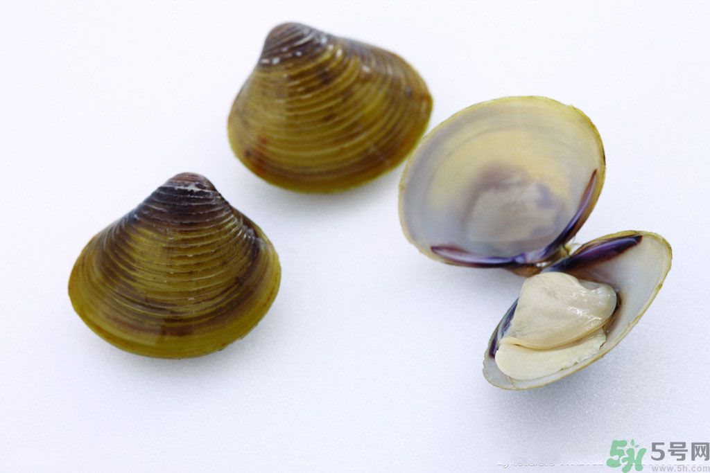 河蚌什么時候吃最好？吃河蚌有什么好處？