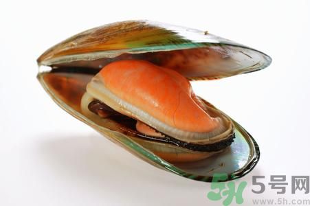 河蚌怎么殺？怎么殺河蚌才可以？