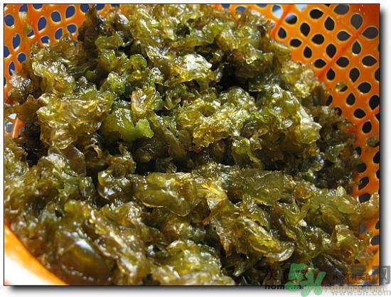 地皮菜怎么清洗干凈？怎樣洗地皮菜？