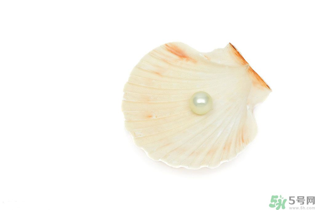 河蚌怎么炒才不會老？炒河蚌要注意什么？