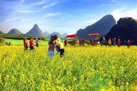 清明節(jié)為什么要踏青？清明節(jié)踏青有什么好處？