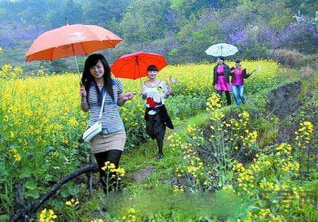 清明節(jié)為什么要踏青？清明節(jié)踏青有什么好處？