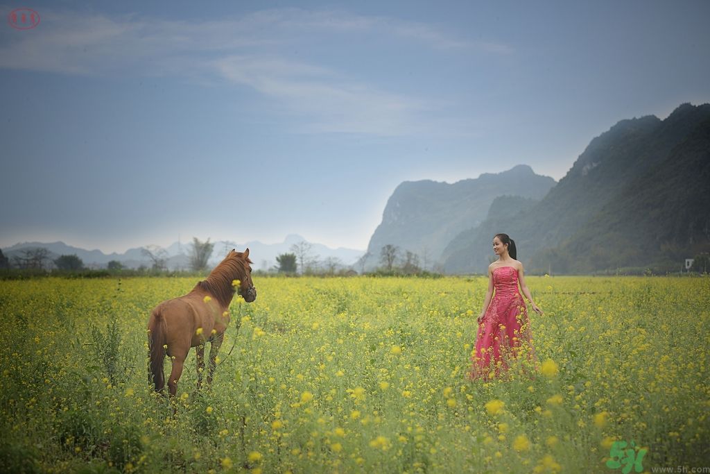 清明踏青穿什么衣服？清明踏青要注意什么？