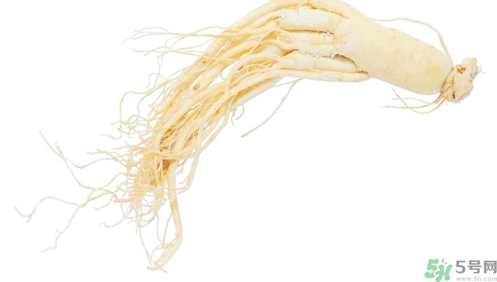 補氣血的中藥有哪些？哪些中藥補氣血？