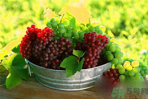 高血脂吃什么水果好？什么水果可以降血脂？