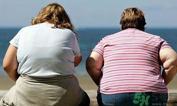 膽固醇高是什么原因？膽固醇高有什么危害？