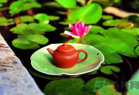 降血脂的茶有哪些？什么茶可以降血脂？