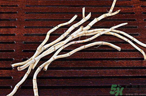 魚(yú)腥草能泡水喝嗎？魚(yú)腥草泡水喝有什么功效？