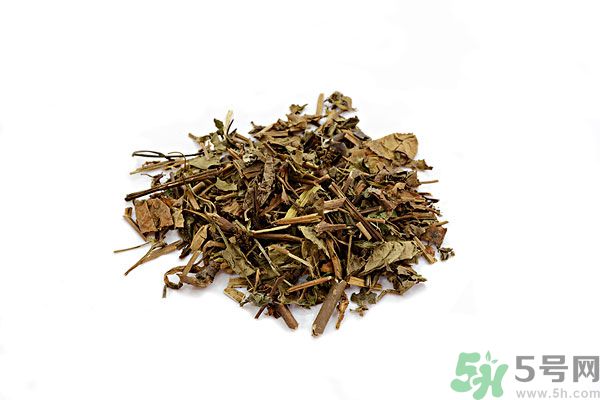 魚(yú)腥草能泡水喝嗎？魚(yú)腥草泡水喝有什么功效？