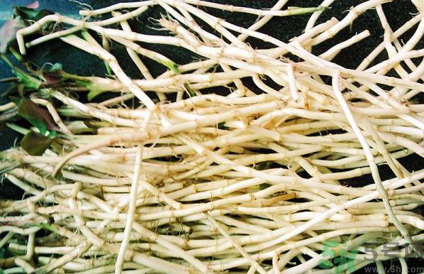 1459323688109380.jpg 壓大柳塔 033.jpg