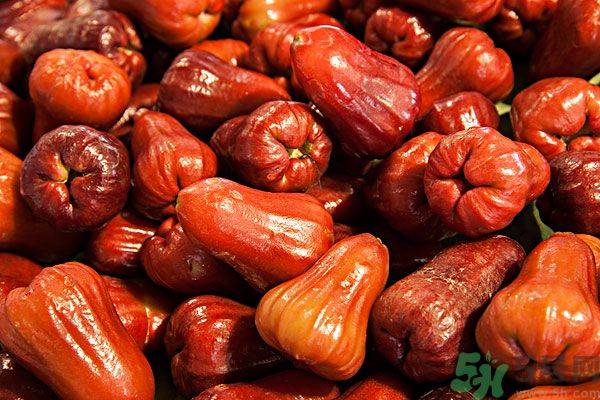 蓮霧孕婦能吃嗎？孕婦可以吃蓮霧嗎？