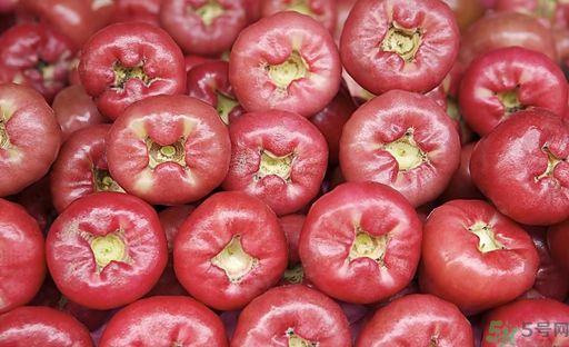 蓮霧孕婦能吃嗎？孕婦可以吃蓮霧嗎？