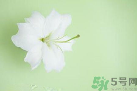 春季咳嗽怎么辦？春季咳嗽吃什么好？