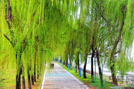 春天適合什么運(yùn)動(dòng)？春天做什么運(yùn)動(dòng)好？