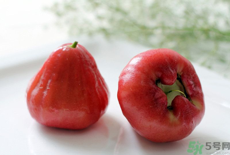 蓮霧皮能吃嗎？蓮霧要不要削皮？