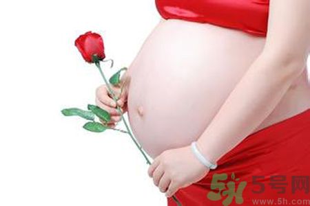 孕婦可以吃枸杞嗎？孕婦吃枸杞好嗎？