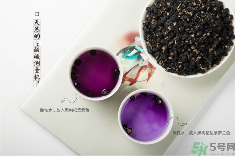 黑枸杞有什么功效？黑枸杞的好處有哪些？