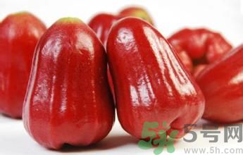 蓮霧是熱性還是涼性水果？蓮霧是寒性水果嗎？