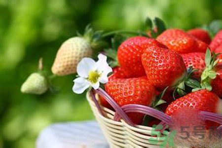 糖尿病可以吃草莓嗎？糖尿病吃草莓好嗎？