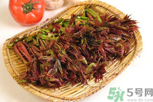 香椿孕婦能吃嗎?孕婦吃香椿會營養(yǎng)胎兒嗎