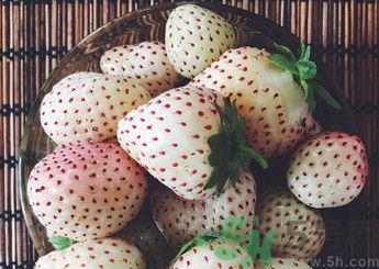 菠蘿莓好吃嗎？菠蘿莓好不好吃？