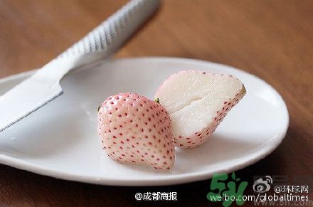 菠蘿莓好吃嗎？菠蘿莓好不好吃？
