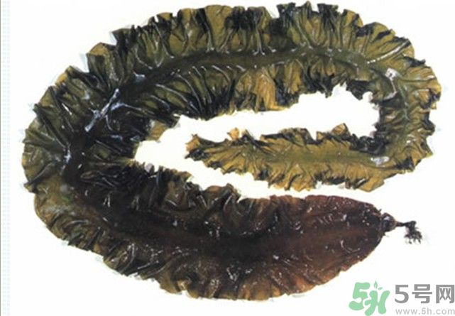 海帶用冷水泡還是熱水泡發(fā)？海帶怎么泡才不會發(fā)硬？