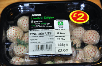 懷孕初期能吃菠蘿莓嗎？懷孕5個月可以吃菠蘿莓嗎？