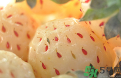 吃菠蘿莓可以美白嗎?吃菠蘿莓能美白嗎?.png 吃菠蘿莓可以美白嗎?吃菠蘿莓能美白嗎?.png