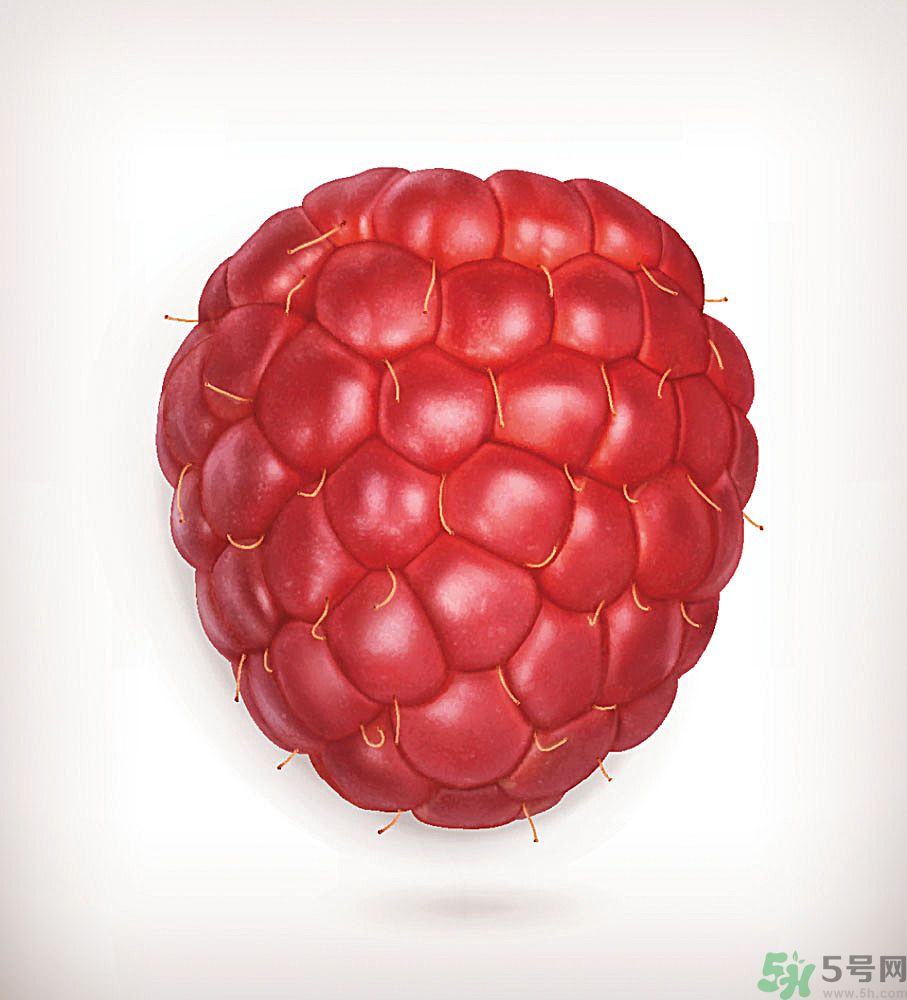 桑葚孕婦可以吃嗎？孕婦能不能吃桑葚？