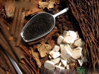 胃潰瘍吃什么藥？調(diào)理胃潰瘍的藥有哪些？