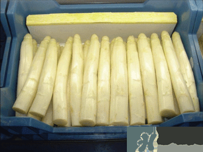 吃蘆筍注意事項(xiàng)有哪些？蘆筍有什么藥用功效？