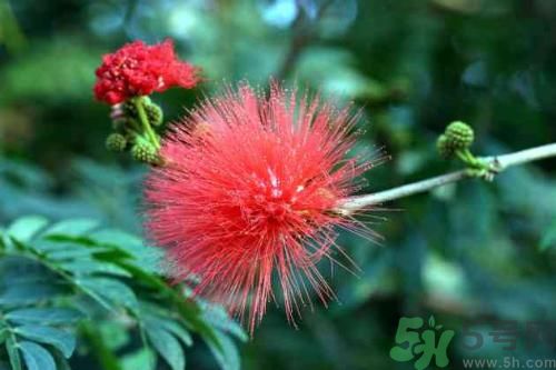 男性春季養(yǎng)生吃什么？男性春季養(yǎng)生的方法有哪些？