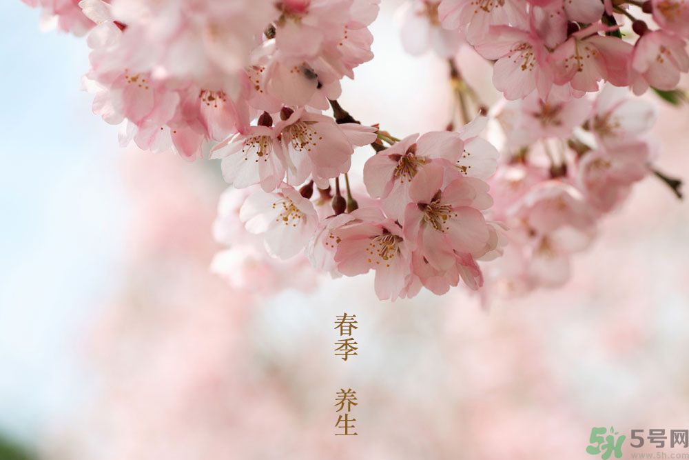 女性春季養(yǎng)生吃什么？女性春季怎么養(yǎng)生？