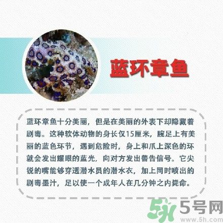 1459818452700050.jpg 9e5389bbjw1f2kh0y8coaj20go0gojw5.jpg