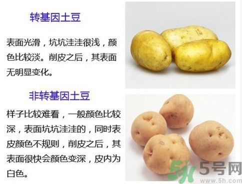 土豆變綠還能吃嗎？土豆變綠有什么危害？