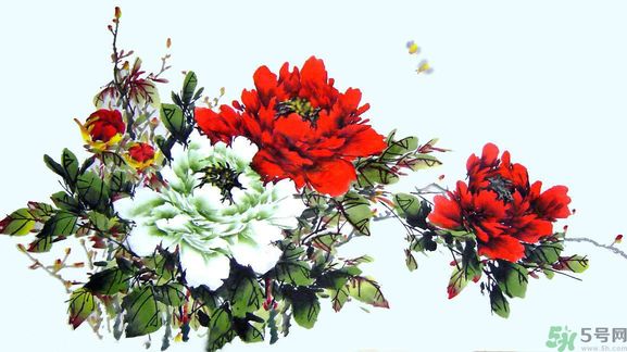 牡丹的花語是什么？牡丹的寓意是什么？