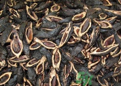 吃檳榔會致癌嗎？吃檳榔好不好？