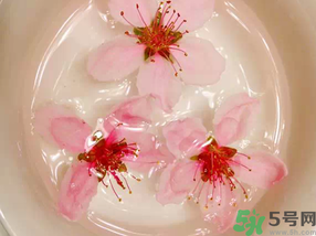 1459922153722946.png Image 002.png