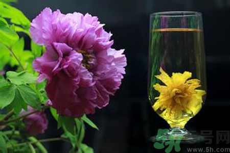 牡丹花可以和菊花一起泡嗎？牡丹花和菊花一起泡茶好嗎？