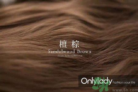 九大染發(fā)色系有哪些？哪種染發(fā)色系最適合女生？