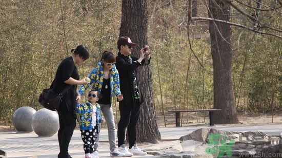 佟大為女兒叫什么？佟大為有2個女兒嗎？