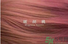 九大色系染發(fā)要怎么選擇？九大色系染發(fā)有什么要求？