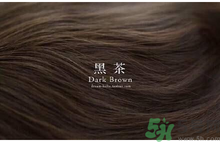 九大色系染發(fā)要怎么選擇？九大色系染發(fā)有什么要求？